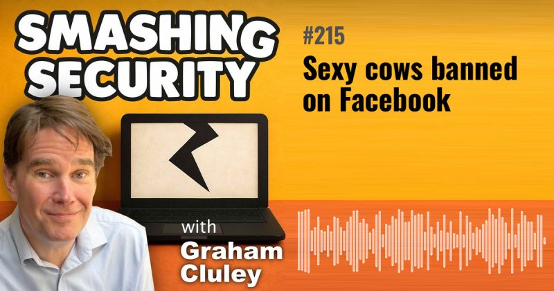 Smashing Security episode 215: Sexy cows banned on Facebook